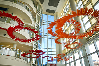 Interior photo of the Duke Children's Health Center