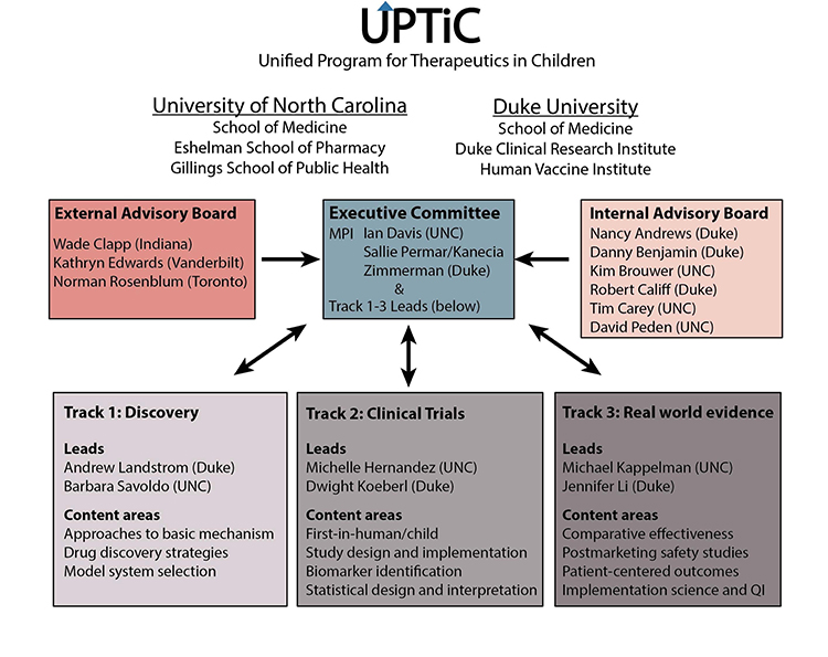 Unified Program for Therapeutics in Children organizational chart