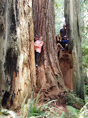 Heather Van Mater and family in redwoods forest