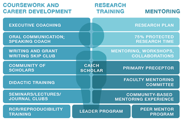 CAtCH RFP Figure