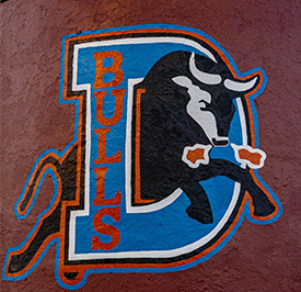 Durham Bulls Icon