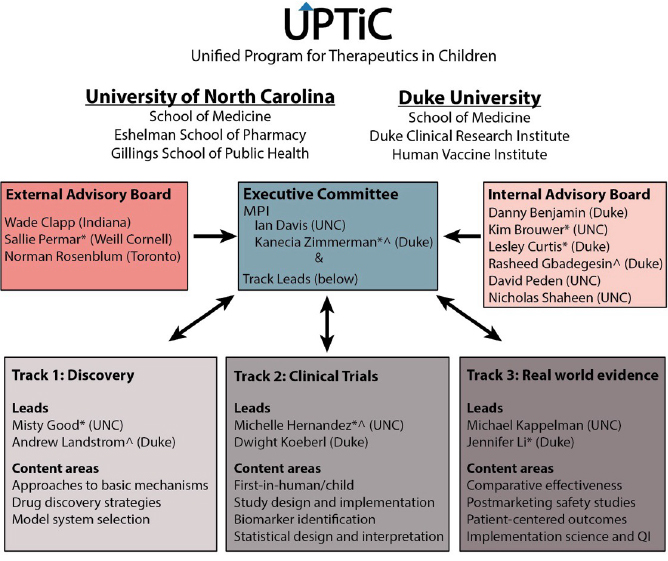 Unified Program for Therapeutics in Children organizational chart