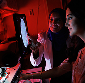 Two people looking at a screen for research