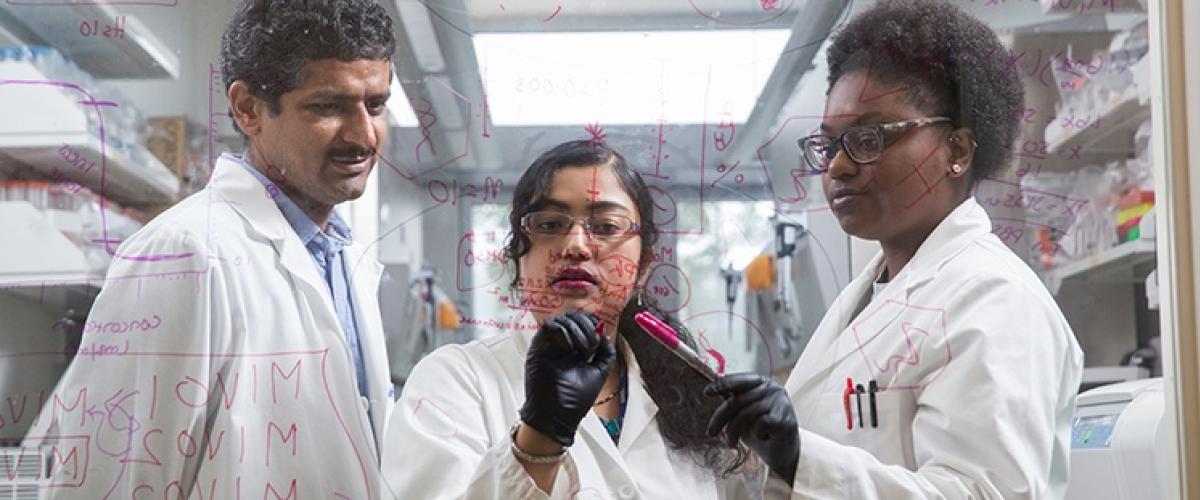 Three doctors writing on see-through whiteboard