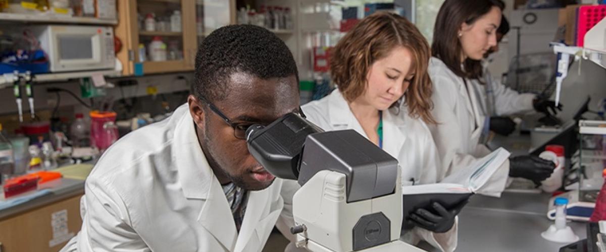 Three fellows in a laboratory