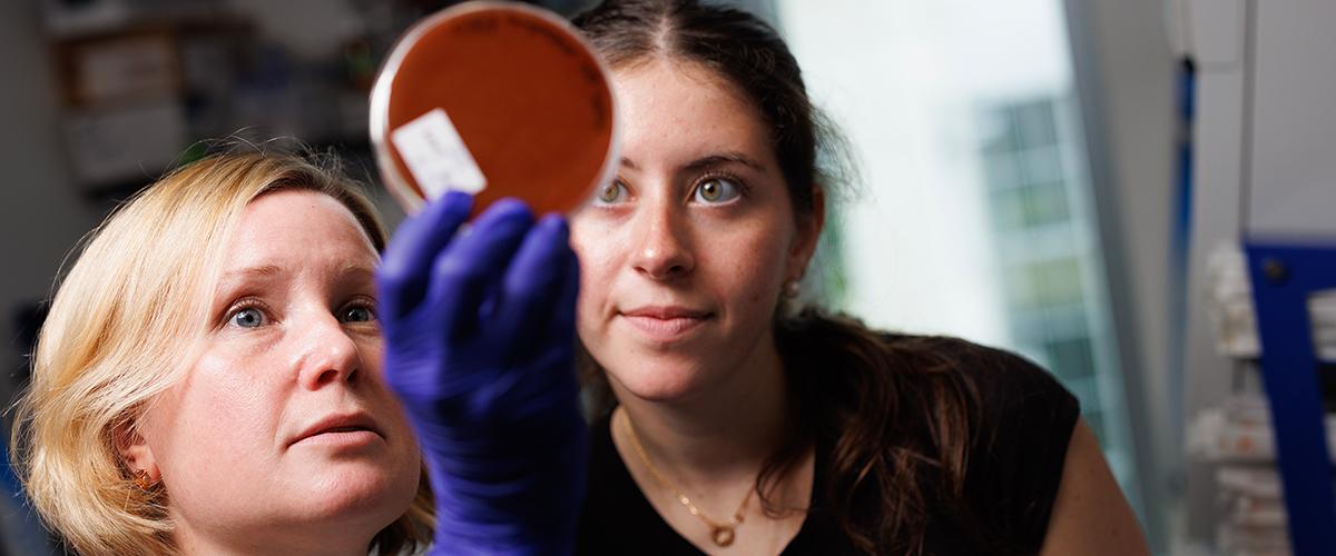 pediatric infectious disease research