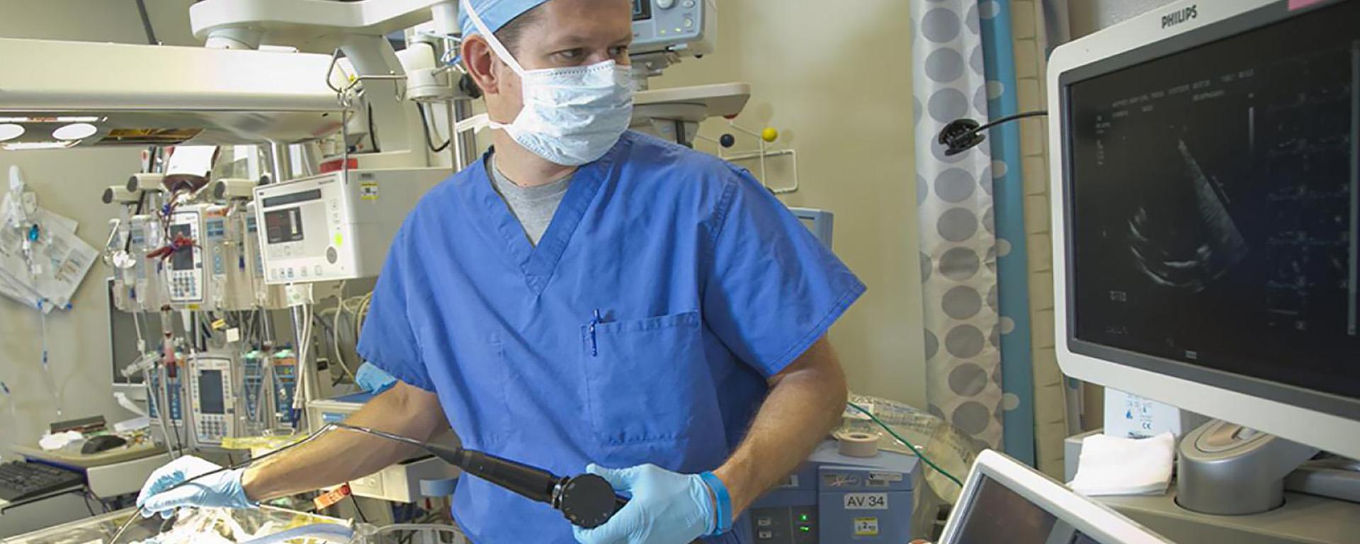 Doctor in echo lab