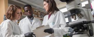 Scientists in lab