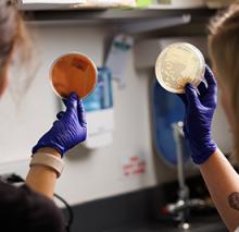 duke pediatric research scholars program