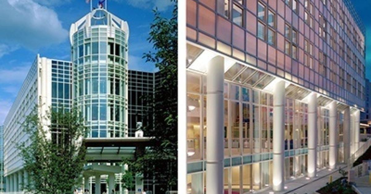 new Pediatrics faculty members Duke Department of Pediatrics