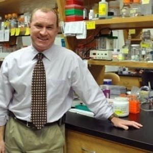 William J. Steinbach in laboratory
